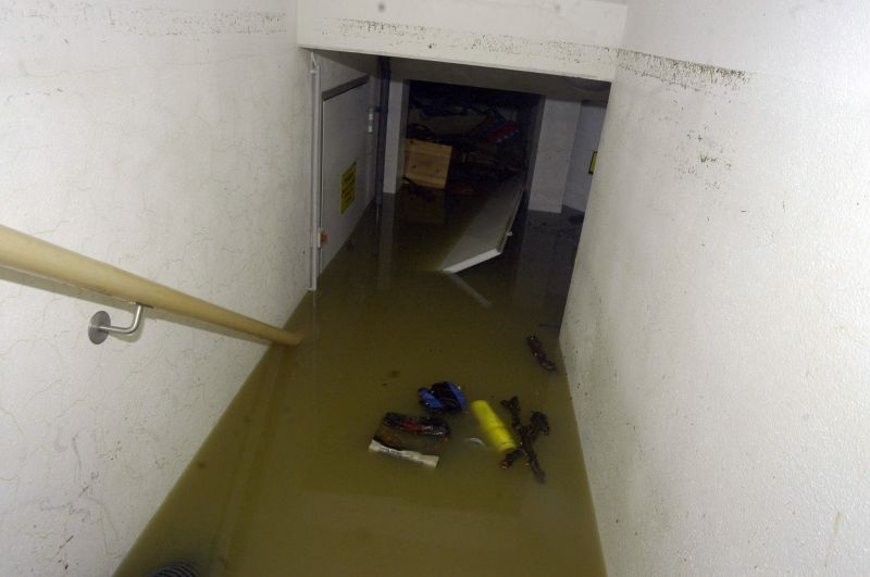 Basement Restoration Service in Phoenix, AZ