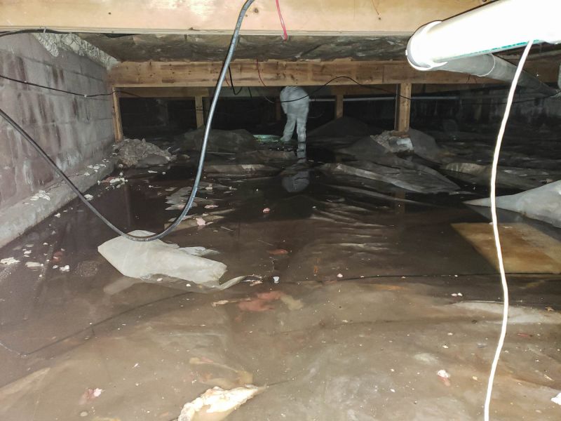 Basement Restoration Service in Chandler, AZ
