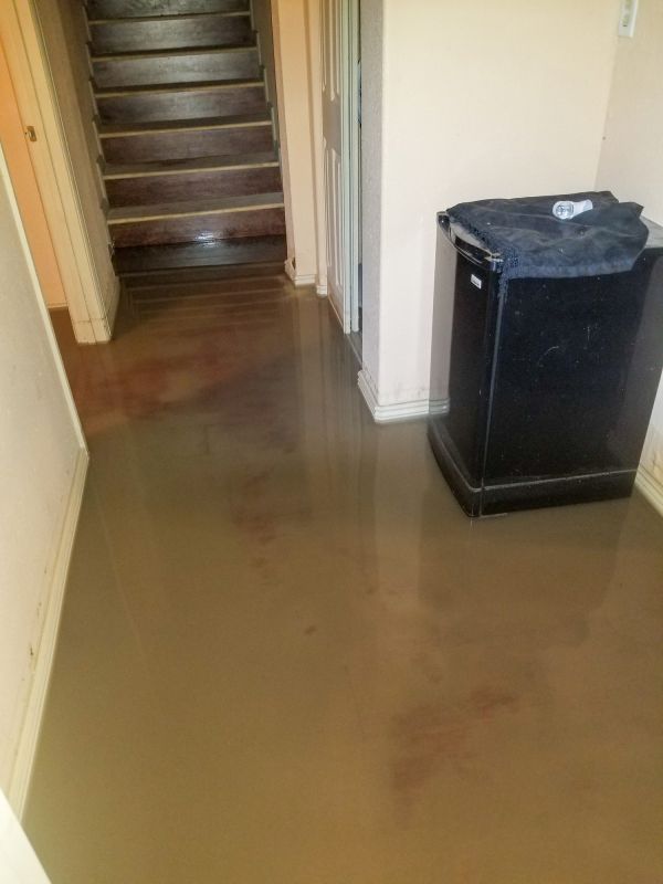 Basement Water Cleanup in Chandler, AZ