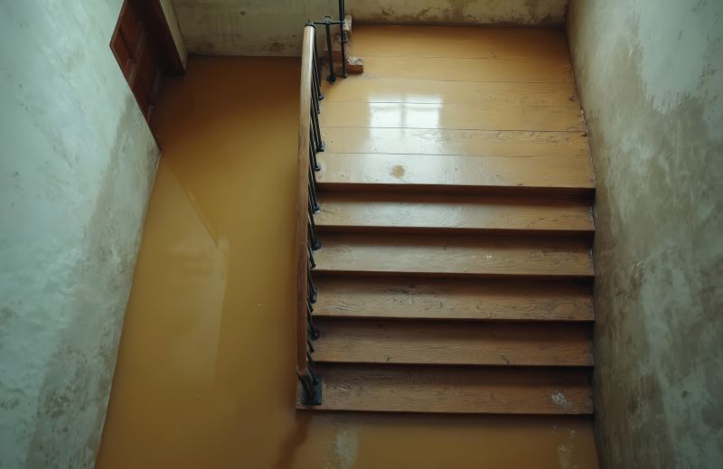 Crawlspace Water Cleanup in Phoenix, AZ
