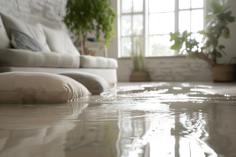 Flood Cleanup Service in Mesa, AZ