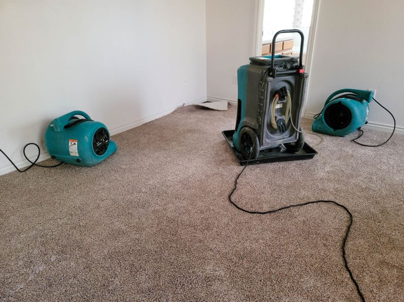 Flood Restoration Service in Mesa, AZ