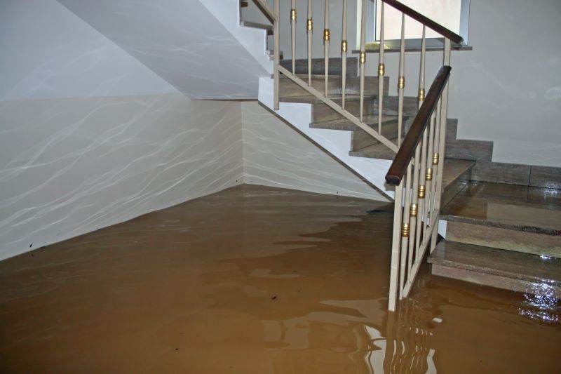 Flooded Basement Cleanup in Chandler, AZ
