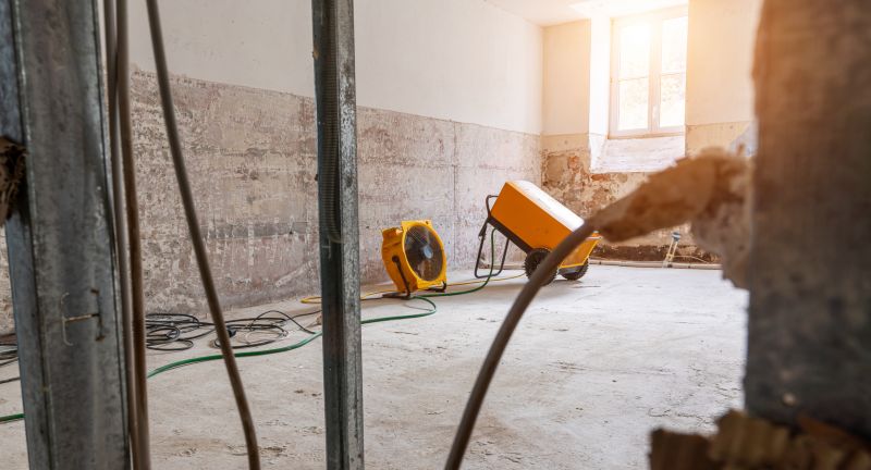 Moisture Removal Service in Scottsdale, AZ