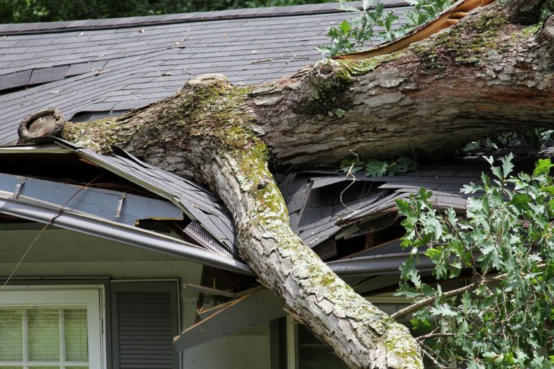 Storm Recovery Service in Scottsdale, AZ
