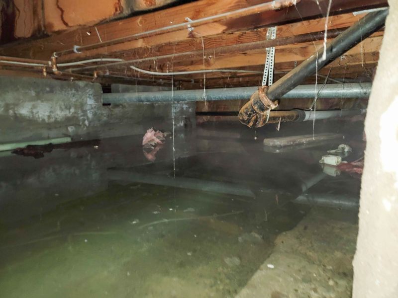 Storm Remediation in Phoenix, AZ