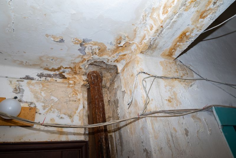 Water Damage Remediation in Chandler, AZ