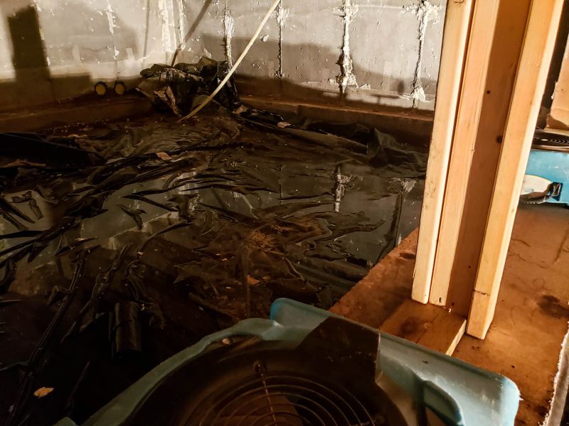 Water Removal Service in Gilbert, AZ
